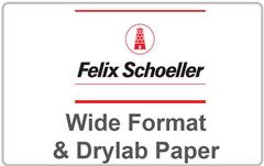 FELIX SCHOELLER - PAPER