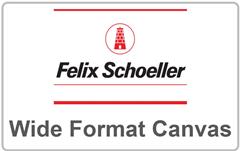 FELIX SCHOELLER - CANVAS