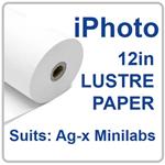 IPS 30.5cm(12in)x93m  LUSTRE 2 ROLLS