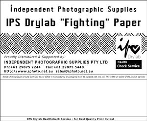 DL IPS 6in x 101m  Gloss (4 rolls)